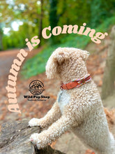 Load image into Gallery viewer, Flower Burst - Adjustable Rope Collar