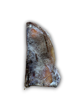 Load image into Gallery viewer, Moon Bones