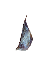 Load image into Gallery viewer, Moon Bone, Small