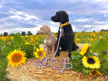 Load image into Gallery viewer, Rainbow - Adjustable Rope Collar