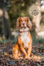 Load image into Gallery viewer, Flower Burst - Adjustable Rope Collar