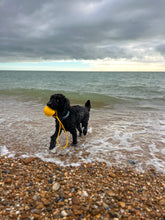 Load image into Gallery viewer, EVA Floating Tug and Play Reward Ball - Large 3.5" (9cm)