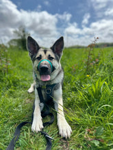 Load image into Gallery viewer, Waterproof Anti Pull, Figure of 8 Lead Attachment