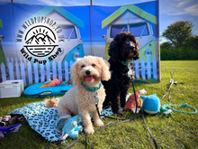 Load image into Gallery viewer, Heavy Duty Pet Ground Stake