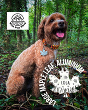 Load image into Gallery viewer, Autumn Breeze • Personalised Pet ID Tag / Keyring