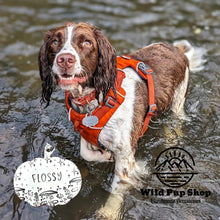 Load image into Gallery viewer, Midnight dreams • Personalised Pet ID Tag / Keyring