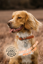 Load image into Gallery viewer, Flower Burst - Adjustable Rope Collar
