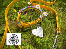 Load image into Gallery viewer, Rainbow - Adjustable Rope Collar