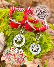Load image into Gallery viewer, Mystery Xmas Bundle - Collar, Lead & Pet ID Tag RRP £60+