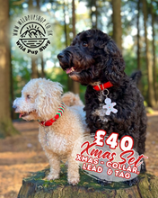 Load image into Gallery viewer, Mystery Xmas Bundle - Collar, Lead & Pet ID Tag RRP £60+