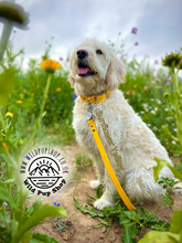 Load image into Gallery viewer, Adjustable Waterproof Collar • 16mm, 20mm or 25mm widths