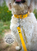 Load image into Gallery viewer, Adjustable Waterproof Collar • 16mm, 20mm or 25mm widths