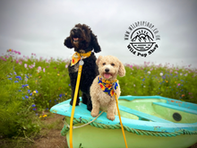 Load image into Gallery viewer, Adjustable Waterproof Collar • 16mm, 20mm or 25mm widths