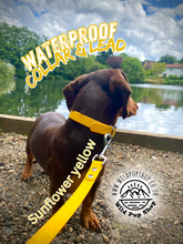 Load image into Gallery viewer, Adjustable Waterproof Collar • 16mm, 20mm or 25mm widths