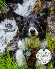 Load image into Gallery viewer, Highland Cow • Personalised Pet ID Tag / Keyring