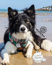 Load image into Gallery viewer, Wilderness • Personalised Pet ID tag / keyring