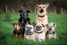 Load image into Gallery viewer, Stars • Personalised Pet ID Tag / Keyring