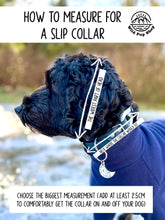 Load image into Gallery viewer, Design your own Waterproof Webbing Slip Collar, Standard 3/4" (20mm) Waterproof • Lots of Colours, Clip Collar, Silver, gold, rose gold, Hardware, Dog Cat Animal Handmade UK. Vegan Vegetarian, like biothane. Training collar