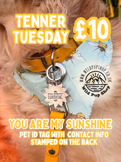 Tenner Tuesday - Tag edition