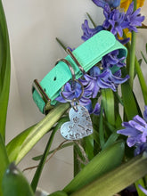 Load image into Gallery viewer, Bluebell Embossed Adjustable Waterproof Collar • 20mm or 25mm widths
