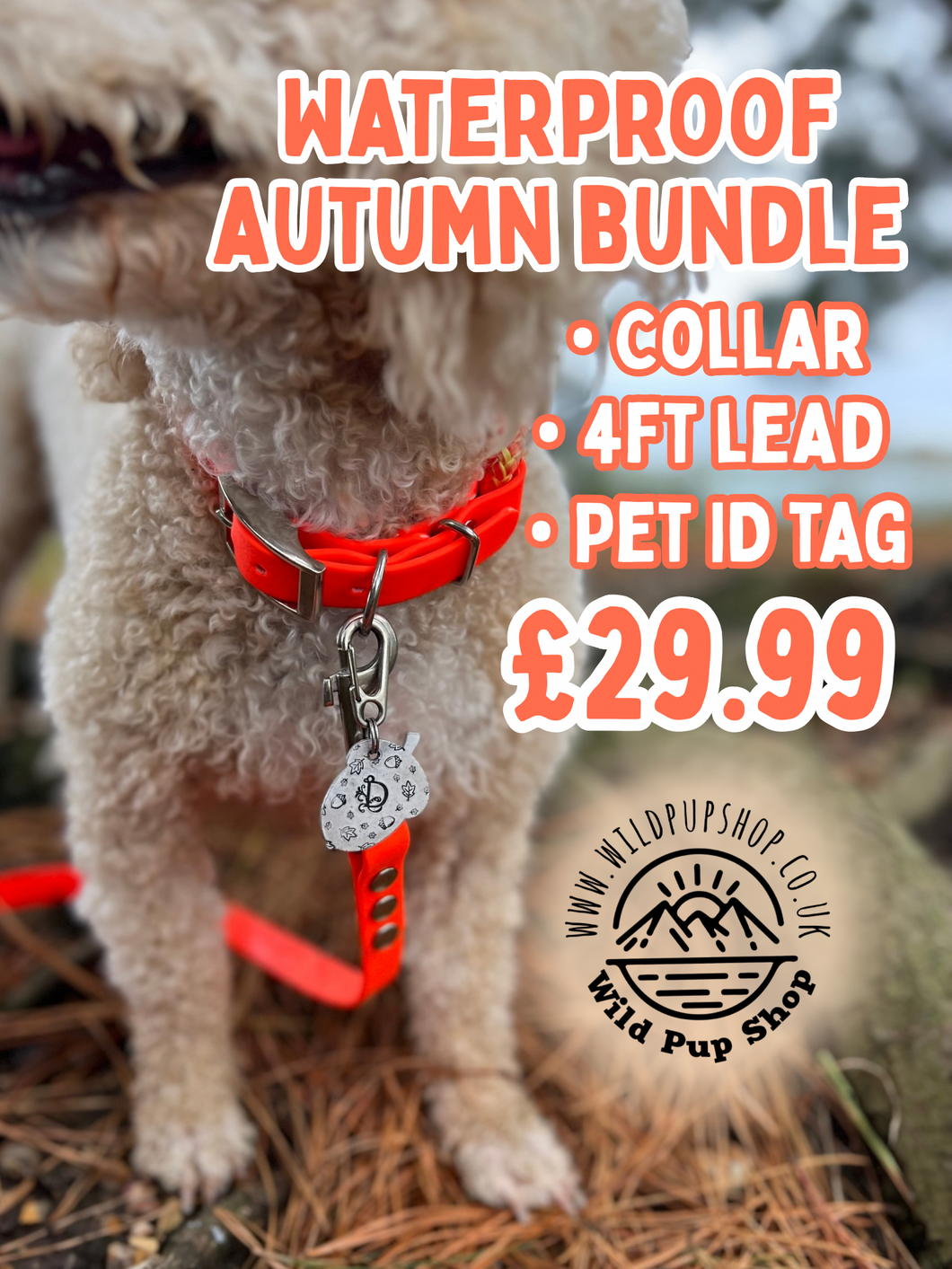 Autumn waterproof bundle - Collar, Lead & Tag