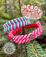 Load image into Gallery viewer, Mystery Xmas Bundle - Collar, Lead &amp; Pet ID Tag RRP £60+
