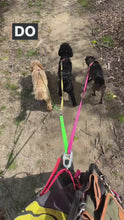 Load and play video in Gallery viewer, Dog Walking Handsfree Belt
