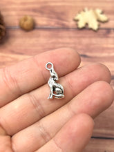 Load image into Gallery viewer, Autumn &amp; Halloween Metal Charm for ID tags, Keyrings and Jewlery
